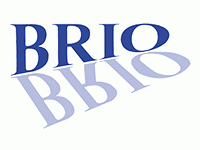 Brio Kontrollspiegel GmbH Firmenlogo